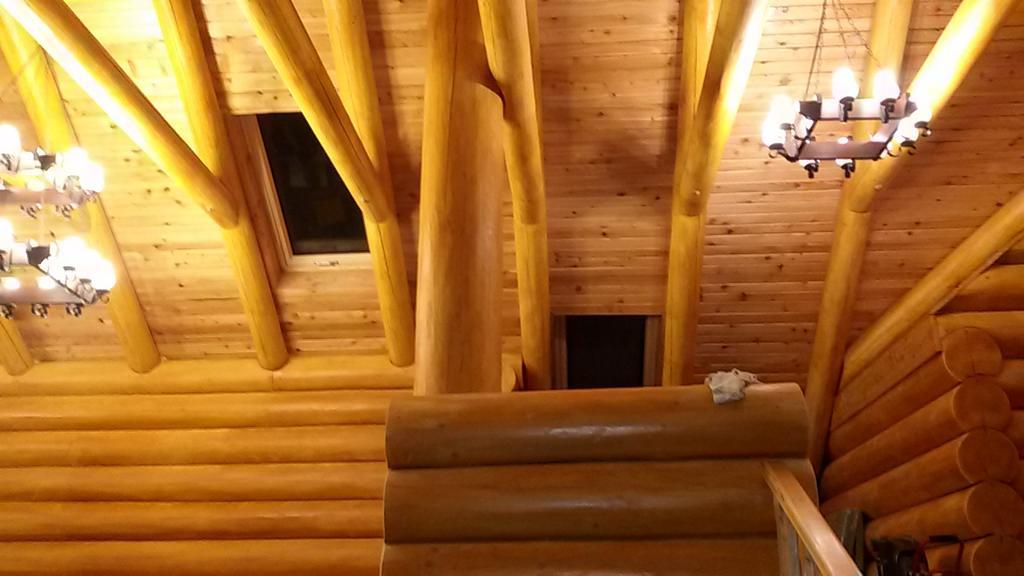 Pensiunea Izbucul Tauz Ghetari Bagian luar foto