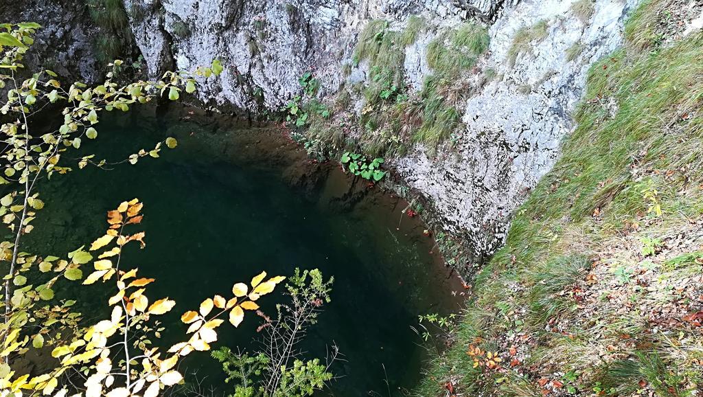 Pensiunea Izbucul Tauz Ghetari Bagian luar foto